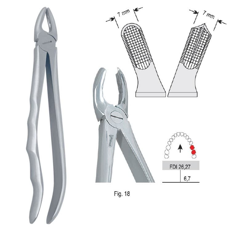 Extracting forceps with anatomical handle fig. 18 – oficiali Falcon Medical produkto nuotrauka