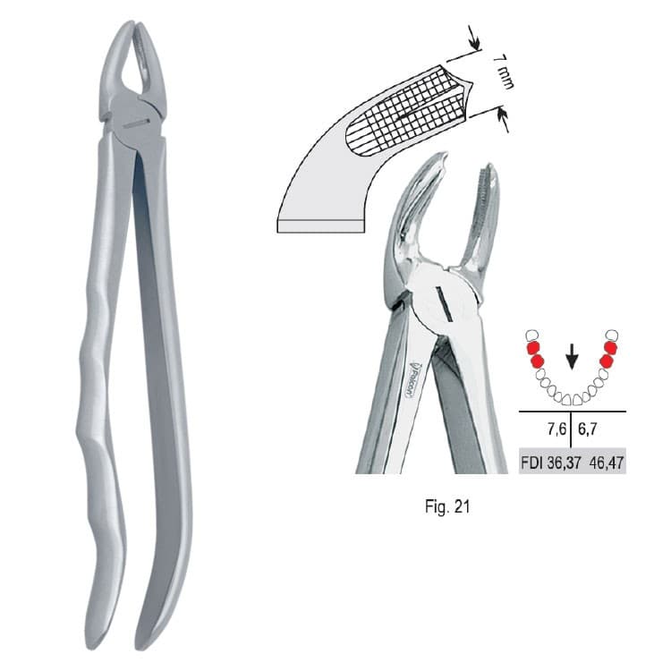 Extracting forceps with anatomical handle fig. 22 – oficiali Falcon Medical produkto nuotrauka