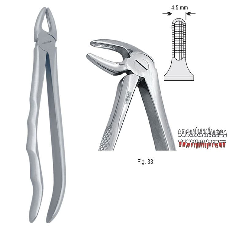 Extracting forceps with anatomical handle fig. 33 – oficiali Falcon Medical produkto nuotrauka