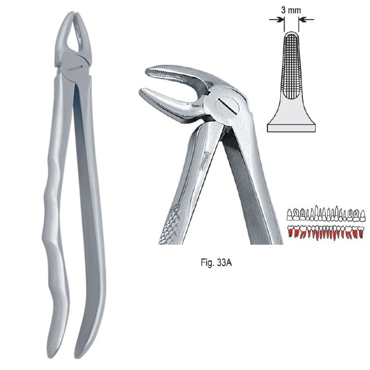 Extracting forceps with anatomical handle fig. 33A – oficiali Falcon Medical produkto nuotrauka