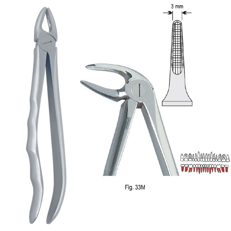 Extracting forceps with anatomical handle fig. 33M – oficiali Falcon Medical produkto nuotrauka