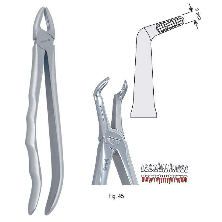 Extracting forceps with anatomical handle fig. 45 – oficiali Falcon Medical produkto nuotrauka