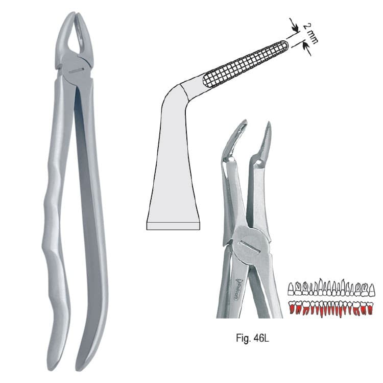 Extracting forceps with anatomical handle fig. 46L – oficiali Falcon Medical produkto nuotrauka