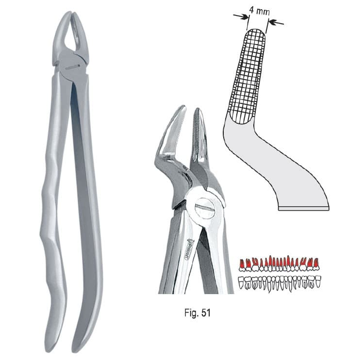 Extracting forceps with anatomical handle fig. 51A – oficiali Falcon Medical produkto nuotrauka