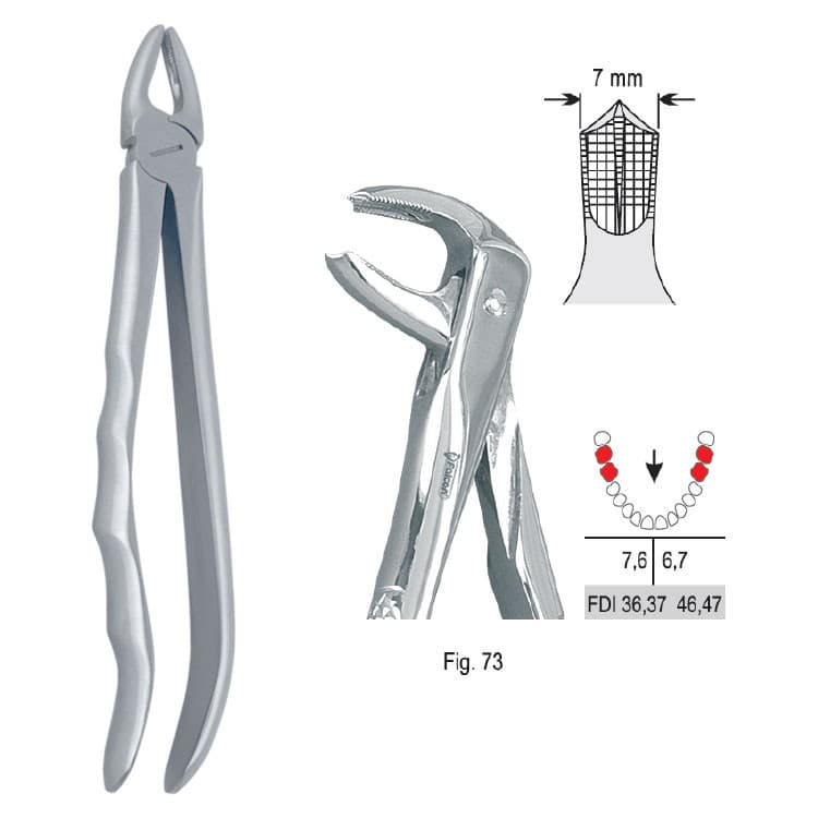 Extracting forceps with anatomical handle fig. 73 – oficiali Falcon Medical produkto nuotrauka
