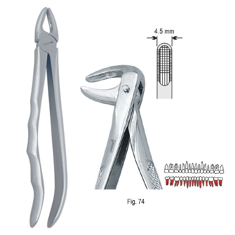 Extracting forceps with anatomical handle fig. 74 – oficiali Falcon Medical produkto nuotrauka