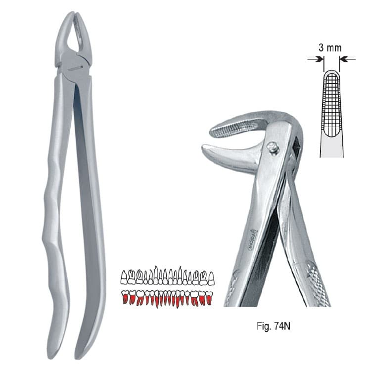 Extracting forceps with anatomical handle fig. 74N – oficiali Falcon Medical produkto nuotrauka