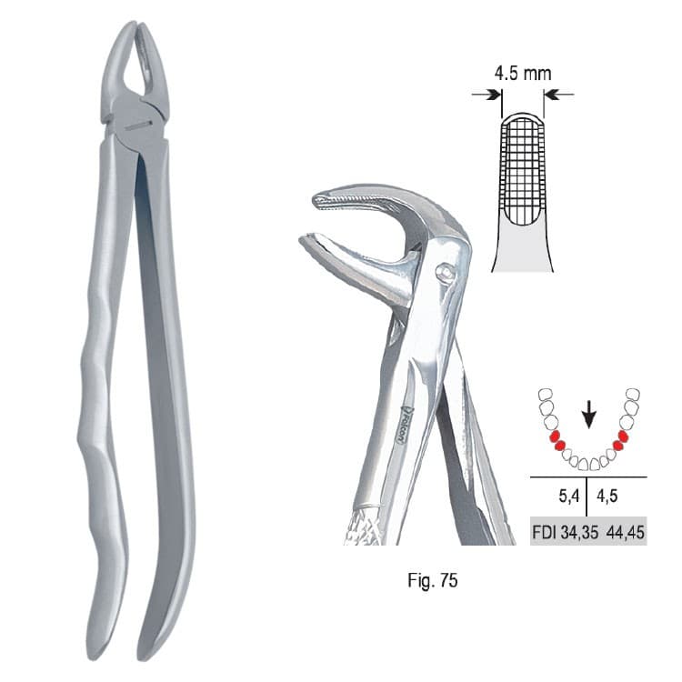 Extracting forceps with anatomical handle fig. 75 – oficiali Falcon Medical produkto nuotrauka