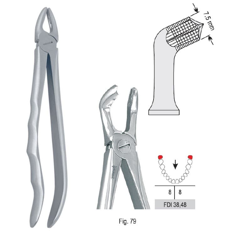 Extracting forceps with anatomical handle fig. 79 – oficiali Falcon Medical produkto nuotrauka