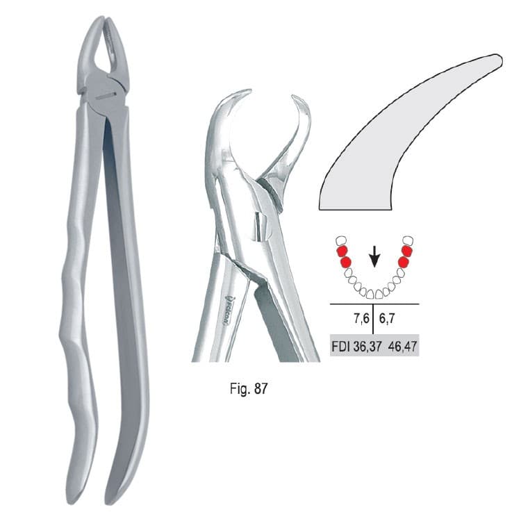 Extracting forceps with anatomical handle fig. 87 – oficiali Falcon Medical produkto nuotrauka
