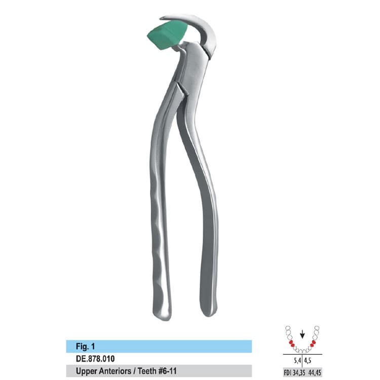Power Grip Extracting forceps upper anterior – oficiali Falcon Medical produkto nuotrauka