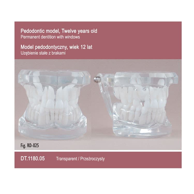 Pediatrics Twelve Years Old With Windows – Transparent – oficiali Falcon Medical produkto nuotrauka