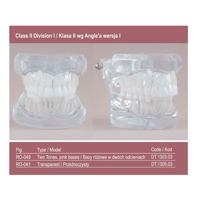 Real Series Orthodontic model pink base, Class II division I – oficiali Falcon Medical produkto nuotrauka