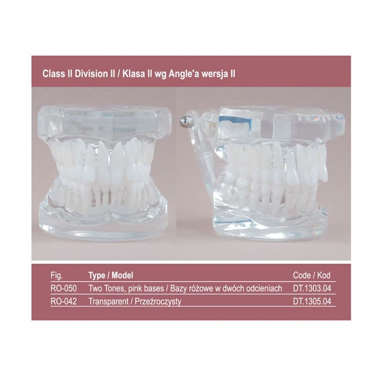 Real Series Orthodontic model pink base, Class II division II – oficiali Falcon Medical produkto nuotrauka