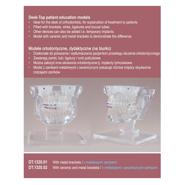 Real Series Desk-Top Orthodontic model with metal brackets – oficiali Falcon Medical produkto nuotrauka