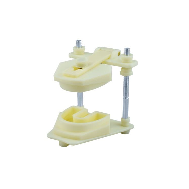 Typodont plastic – oficiali Falcon Medical produkto nuotrauka