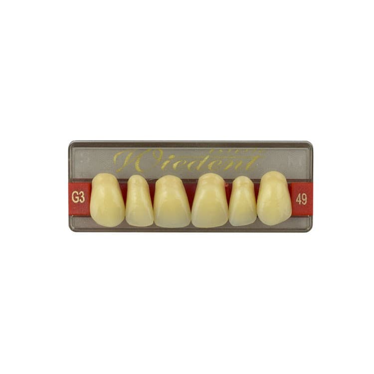Acrylic teeth upper anteriors no 49, color G3, 6 pieces – oficiali Falcon Medical produkto nuotrauka
