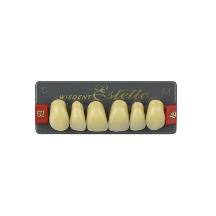 Acrylic teeth upper anteriors no 49, color G2, 6 pieces – oficiali Falcon Medical produkto nuotrauka
