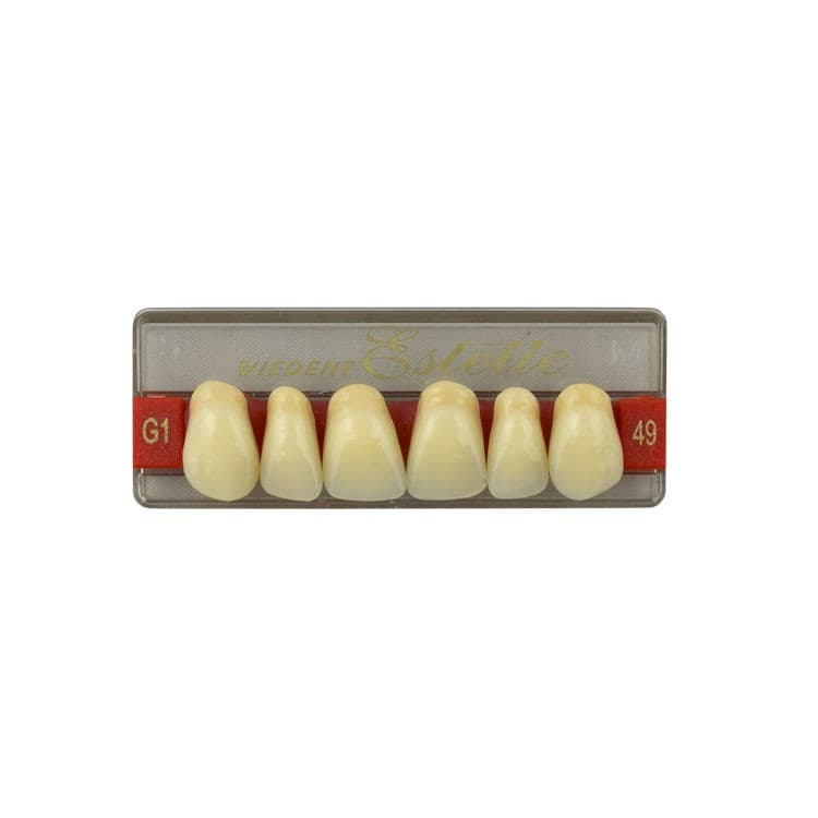 Acrylic teeth upper anteriors no 49, color G1, 6 pieces – oficiali Falcon Medical produkto nuotrauka