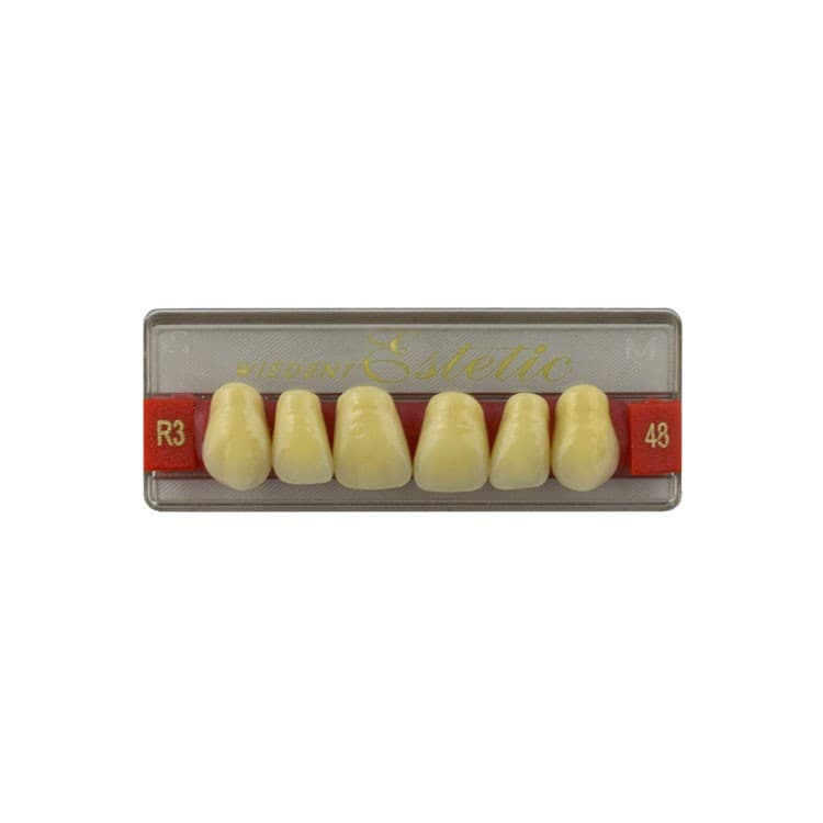 Acrylic teeth upper anteriors no 48, color R3, 6 pieces – oficiali Falcon Medical produkto nuotrauka