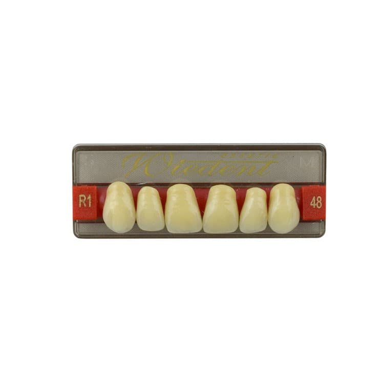 Acrylic teeth upper anteriors no 48, color R1, 6 pieces – oficiali Falcon Medical produkto nuotrauka