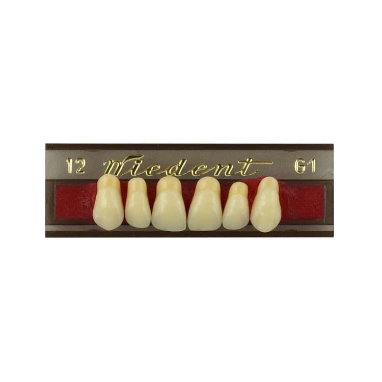 Acrylic teeth upper anteriors no 12, color G1, 6 pieces – oficiali Falcon Medical produkto nuotrauka
