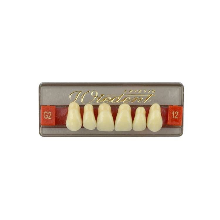 Acrylic teeth upper anteriors no 12, color G2, 6 pieces – oficiali Falcon Medical produkto nuotrauka