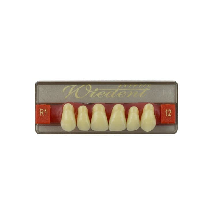 Acrylic teeth upper anteriors no 12, color R1, 6 pieces – oficiali Falcon Medical produkto nuotrauka