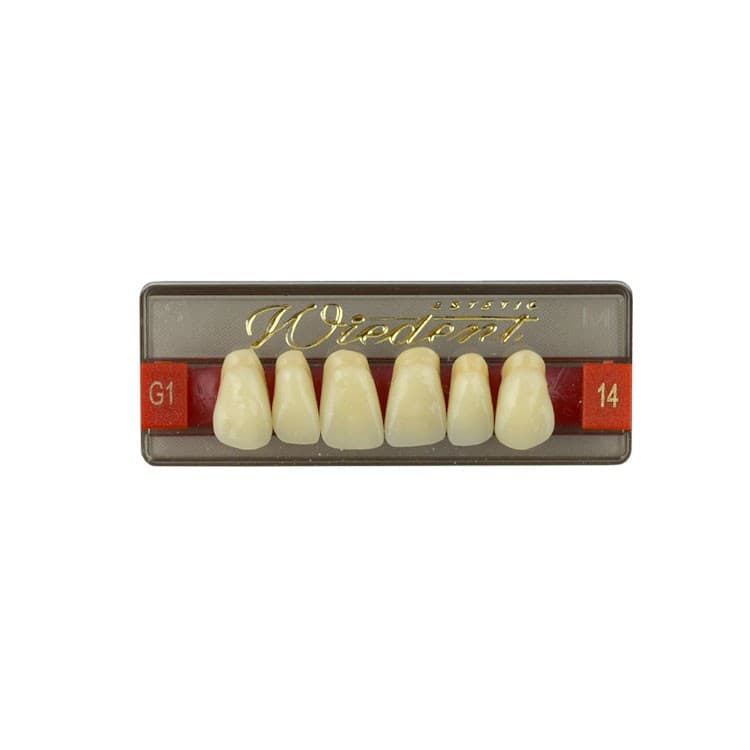 Acrylic teeth upper anteriors no 14, color G1, 6 pieces – oficiali Falcon Medical produkto nuotrauka