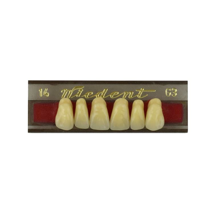 Acrylic teeth upper anteriors no 14, color G3, 6 pieces – oficiali Falcon Medical produkto nuotrauka