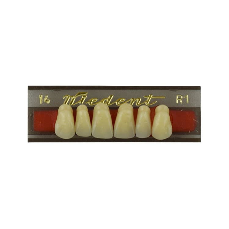 Acrylic teeth upper anteriors no 14, color R1, 6 pieces – oficiali Falcon Medical produkto nuotrauka