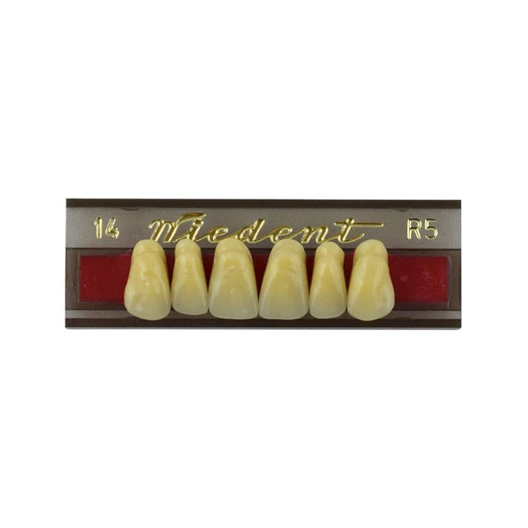 Acrylic teeth upper anteriors no 14, color R5, 6 pieces – oficiali Falcon Medical produkto nuotrauka