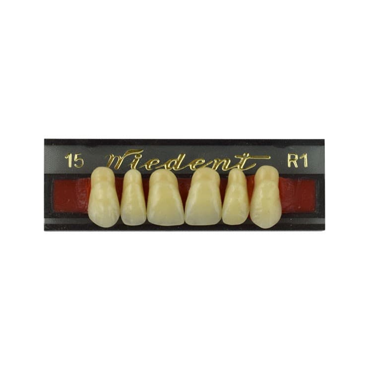 Acrylic teeth upper anteriors no 15, color R1, 6 pieces – oficiali Falcon Medical produkto nuotrauka