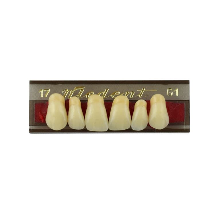 Acrylic teeth upper anteriors no 17, color G1, 6 pieces – oficiali Falcon Medical produkto nuotrauka