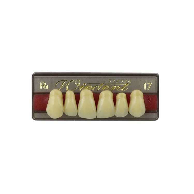 Acrylic teeth upper anteriors no 17, color R1, 6 pieces – oficiali Falcon Medical produkto nuotrauka