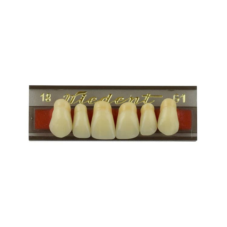 Acrylic teeth upper anteriors no 18, color G1, 6 pieces – oficiali Falcon Medical produkto nuotrauka