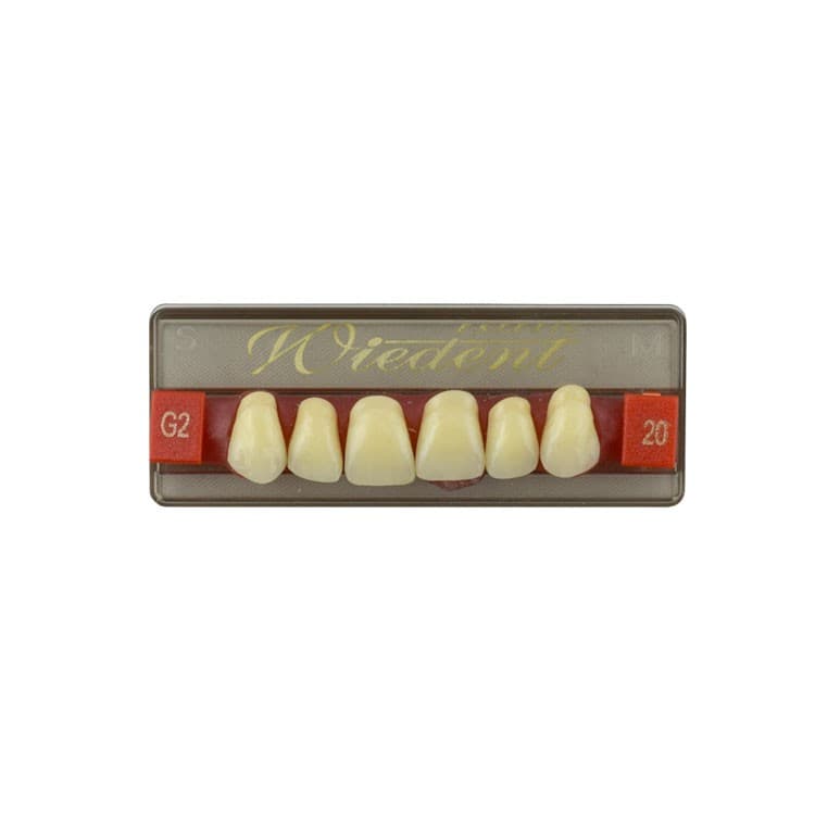 Acrylic teeth upper anteriors no 20, color G2, 6 pieces – oficiali Falcon Medical produkto nuotrauka
