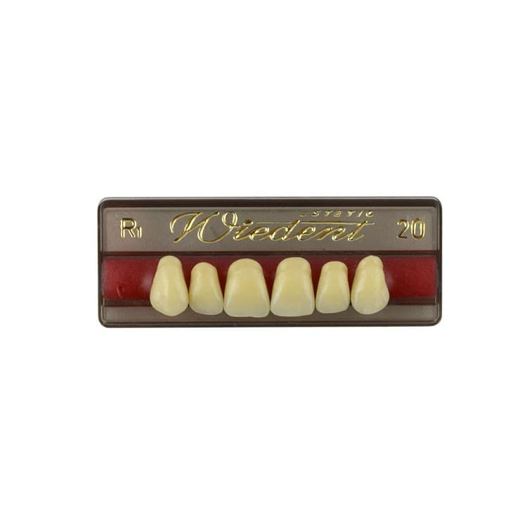Acrylic teeth upper anteriors no 20, color R1, 6 pieces – oficiali Falcon Medical produkto nuotrauka