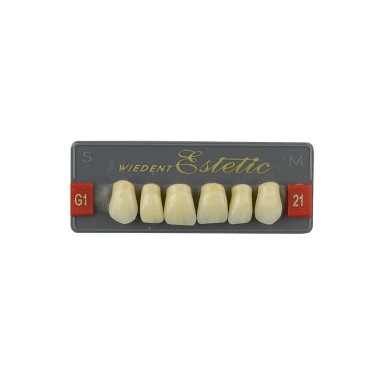 Acrylic teeth upper anteriors no 21, color G1, 6 pieces – oficiali Falcon Medical produkto nuotrauka