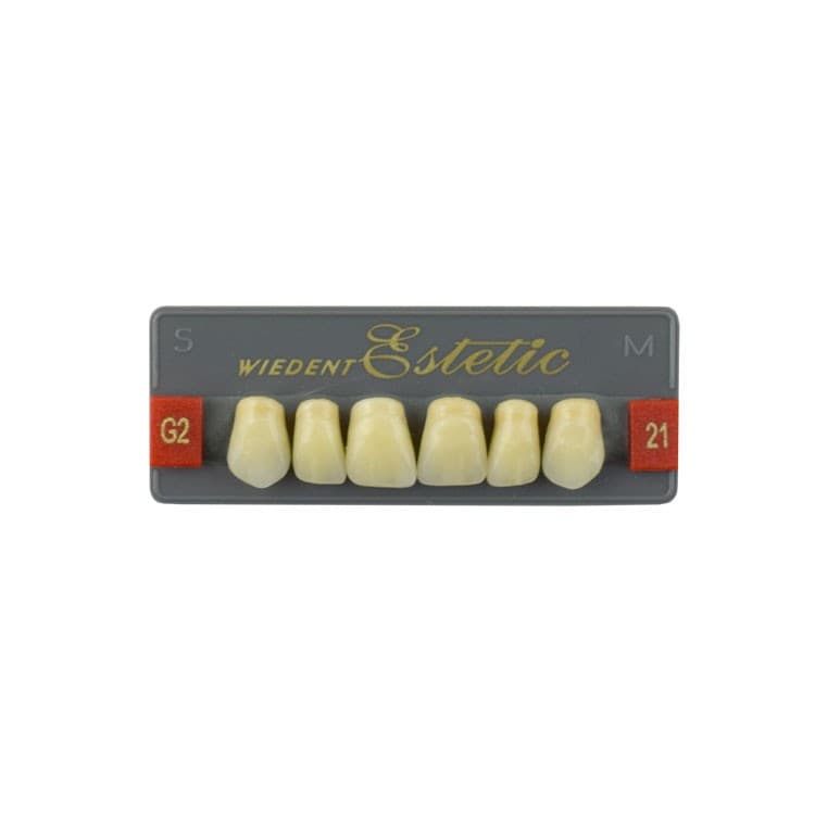 Acrylic teeth upper anteriors no 21, color G2, 6 pieces – oficiali Falcon Medical produkto nuotrauka