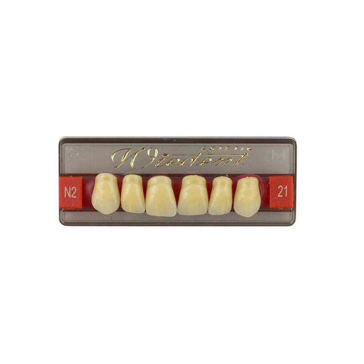 Acrylic teeth upper anteriors no 21, color N2, 6 pieces – oficiali Falcon Medical produkto nuotrauka