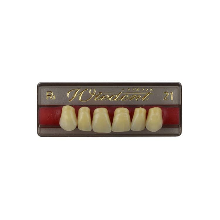 Acrylic teeth upper anteriors no 21, color R1, 6 pieces – oficiali Falcon Medical produkto nuotrauka
