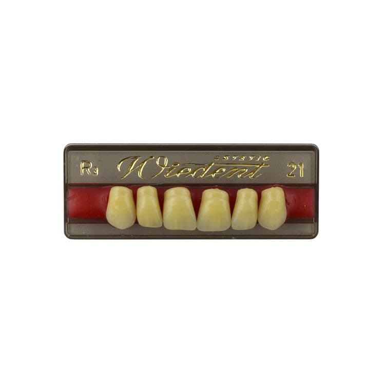 Acrylic teeth upper anteriors no 21, color R3, 6 pieces – oficiali Falcon Medical produkto nuotrauka
