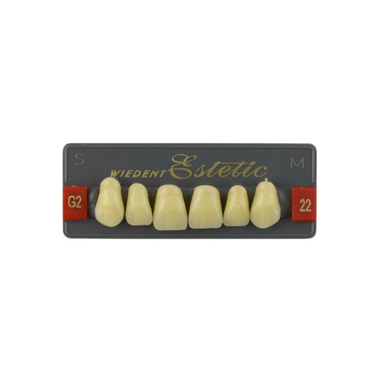 Acrylic teeth upper anteriors no 22, color G2, 6 pieces – oficiali Falcon Medical produkto nuotrauka