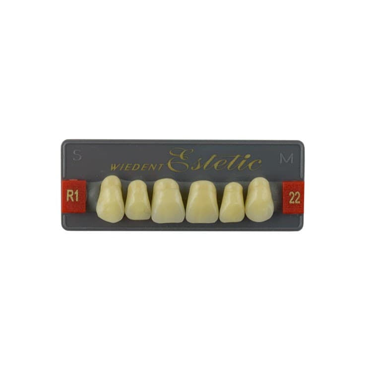 Acrylic teeth upper anteriors no 22, color R1, 6 pieces – oficiali Falcon Medical produkto nuotrauka
