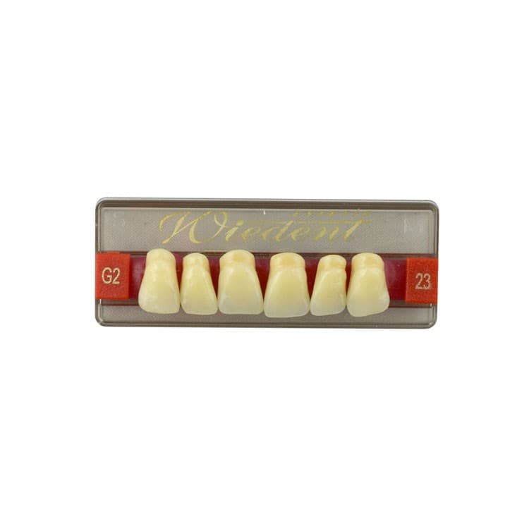 Acrylic teeth upper anteriors no 23, color G2, 6 pieces – oficiali Falcon Medical produkto nuotrauka