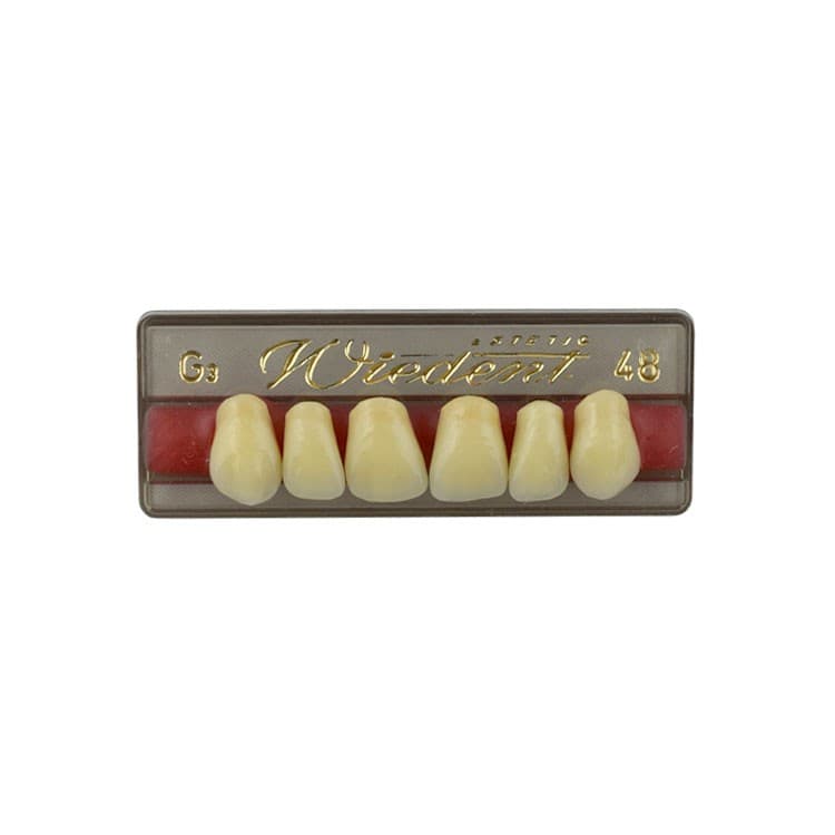 Acrylic teeth upper anteriors no 48, color G3, 6 pieces – oficiali Falcon Medical produkto nuotrauka