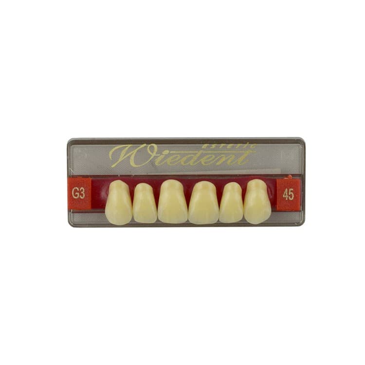 Acrylic teeth upper anteriors no 45, color G3, 6 pieces – oficiali Falcon Medical produkto nuotrauka