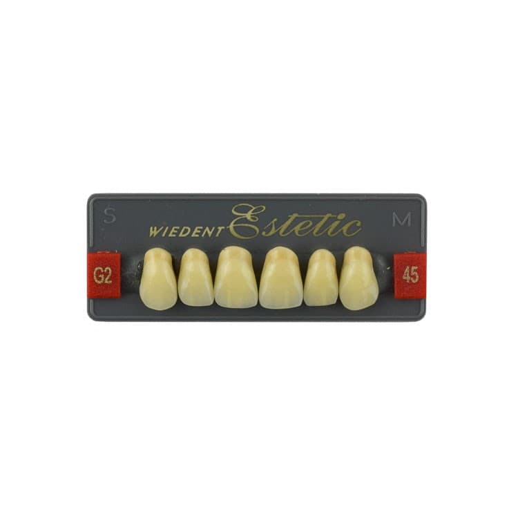 Acrylic teeth upper anteriors no 45, color G2, 6 pieces – oficiali Falcon Medical produkto nuotrauka