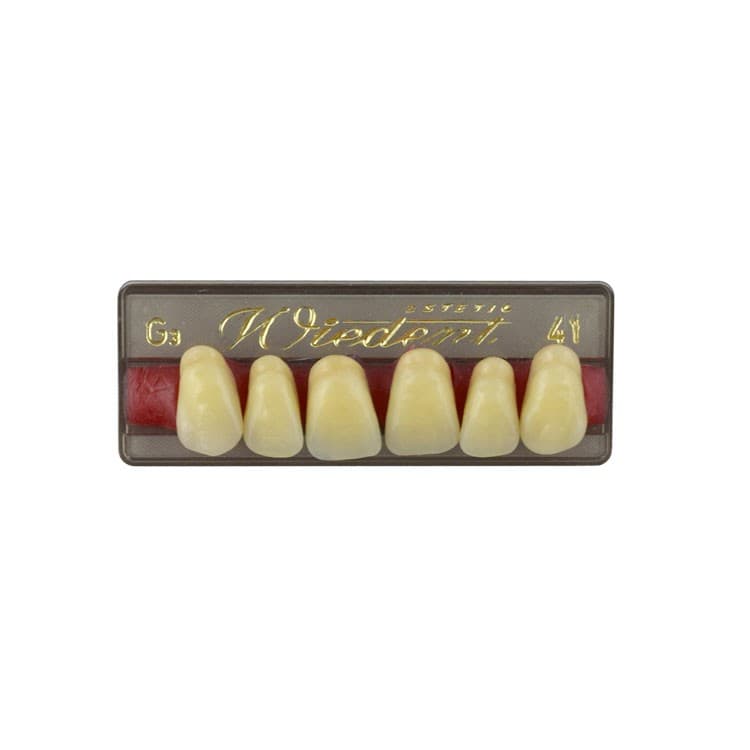 Acrylic teeth upper anteriors no 41, color G3, 6 pieces – oficiali Falcon Medical produkto nuotrauka